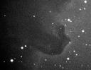Horsehead Nebula
