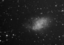 M1 The Crab Nebula