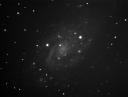 NGC2403 in Camelopardalis