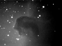 The Horsehead Nebula
