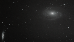 Galaxy M81 in Ursa Major