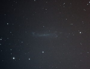 Galaxy NGC4236 in Draco